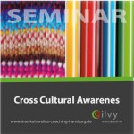 ilvy-intercultural-hr-cross-cultural-awareness