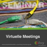 ilvy-intercultural-hr-virtuelle-meetings